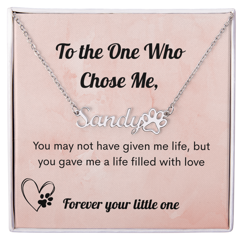 Personalized Pet Name Necklace Gift for Pet Mom – Custom Pet Name Jewelry with Paw Print – Mother's Day Gift for Pet Lover
