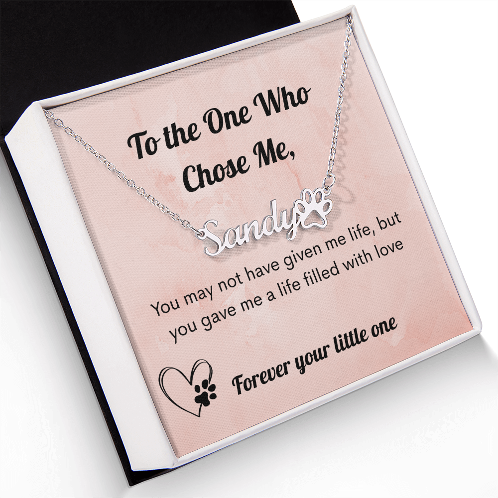 Personalized Pet Name Necklace Gift for Pet Mom – Custom Pet Name Jewelry with Paw Print – Mother's Day Gift for Pet Lover