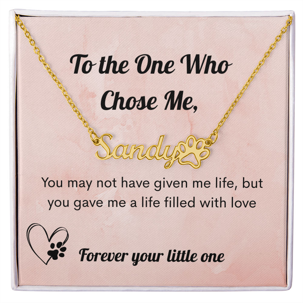 Personalized Pet Name Necklace Gift for Pet Mom – Custom Pet Name Jewelry with Paw Print – Mother's Day Gift for Pet Lover