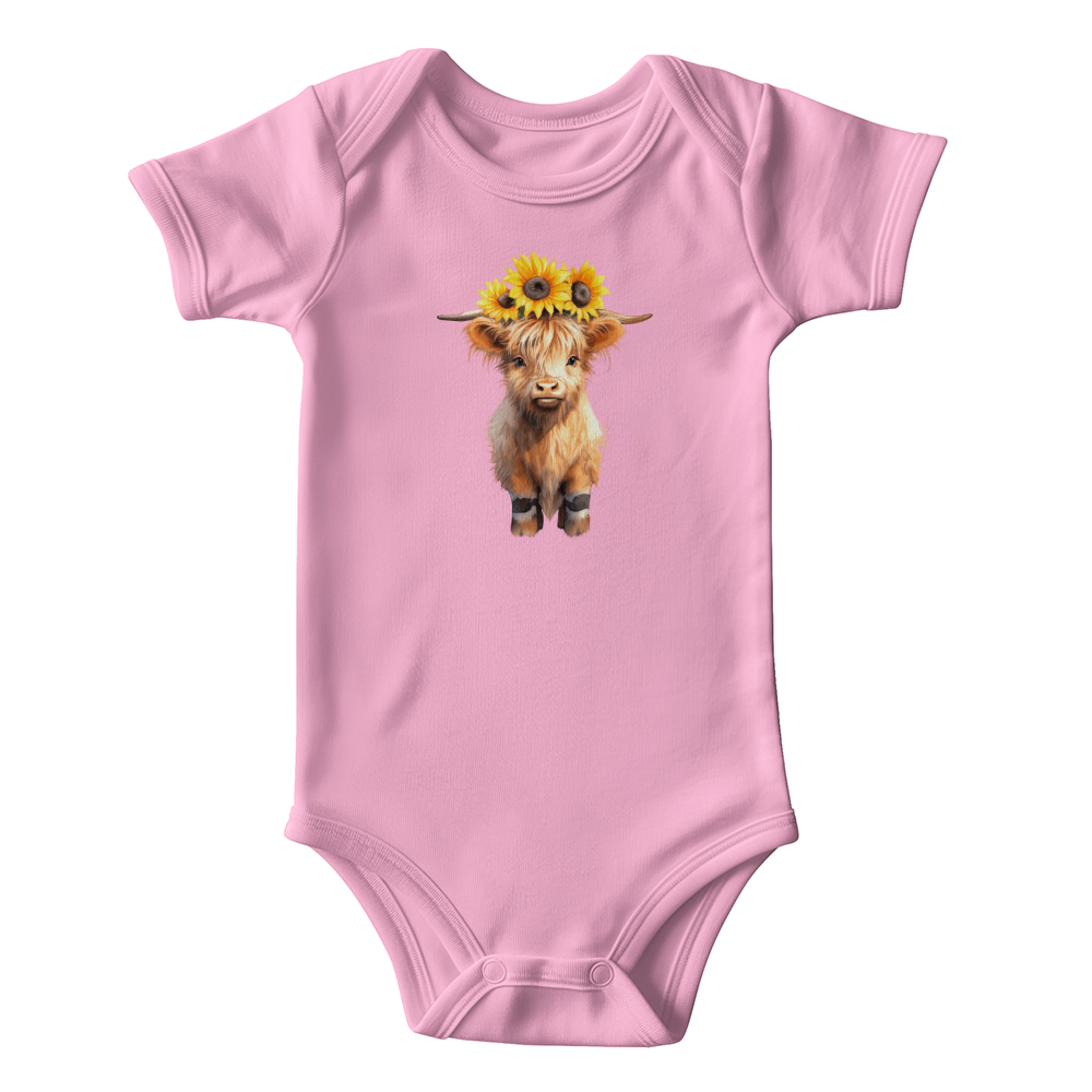 Sweet Highland Cow